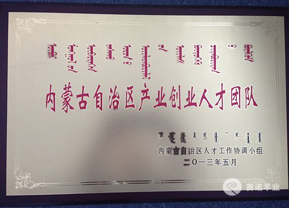 內(nèi)蒙古自治區(qū)產(chǎn)業(yè)創(chuàng)業(yè)人才團(tuán)隊