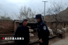 農(nóng)牧要聞丨七名“偷羊賊”流轉(zhuǎn)三地不斷作案，甚至可以無聲宰羊，原因太意外