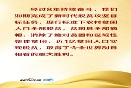 聯(lián)播+｜如何鞏固拓展脫貧攻堅(jiān)成果？中央作出最新部署